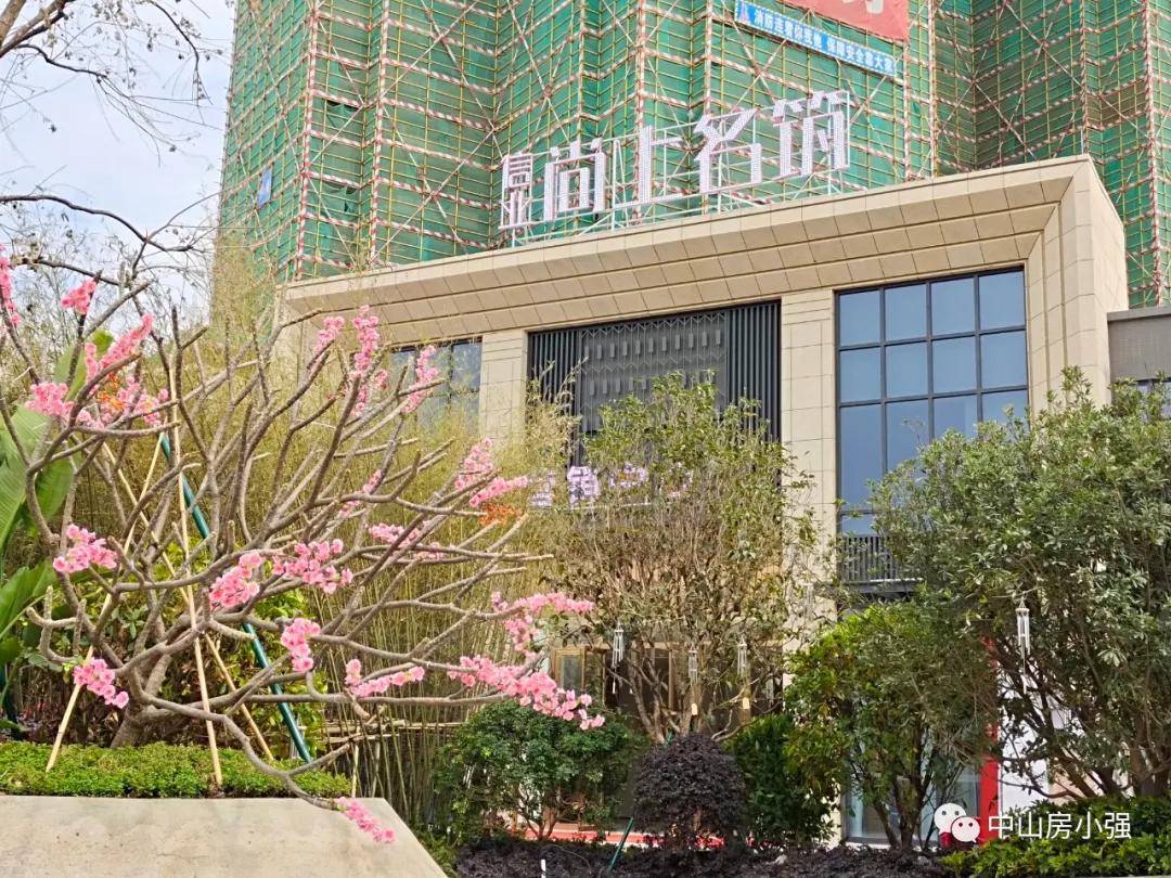 老鸦窝最新发布地址，观点的碰撞与个人立场探讨