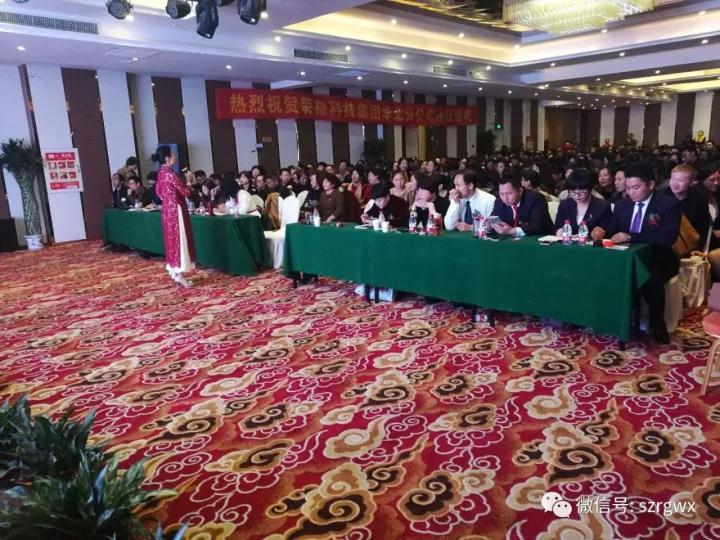 荣格公司最新动态，小巷中的独特风味探索之旅揭秘