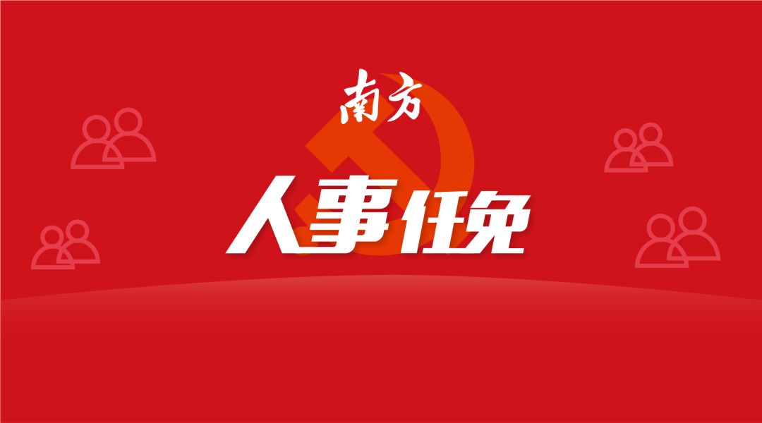 云浮市人事任免大揭秘，背后的故事与小巷美食宝藏探索