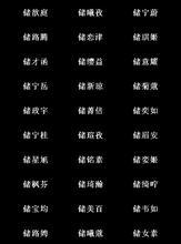 时代背景下的网络文化印记，长网名的最新演变与趋势分析