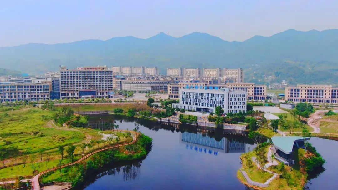 茶园新动态，变化中的学习成就自信之源